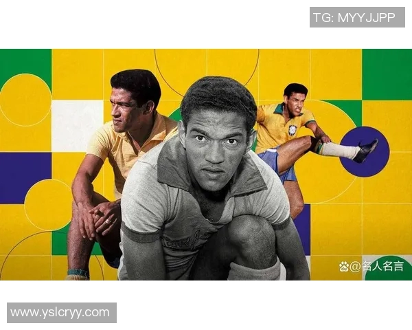 足球明星与演员的职业特点与成就差异探讨