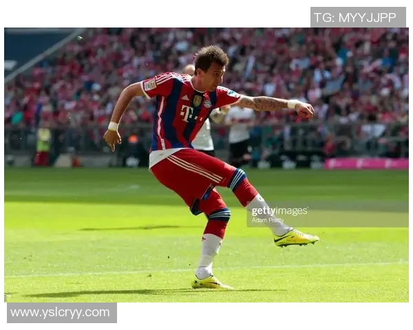 纯白色球衣下的传奇足球明星的故事与荣耀 纯白色球衣下的传奇足球明星的故事与荣耀