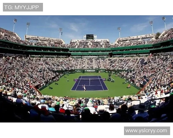 东亚篮球明星的崛起与影响力探讨：从球场到文化的多维度分析