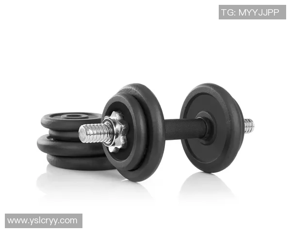 全面提升核心力量的健腹轮使用指南与训练计划分享